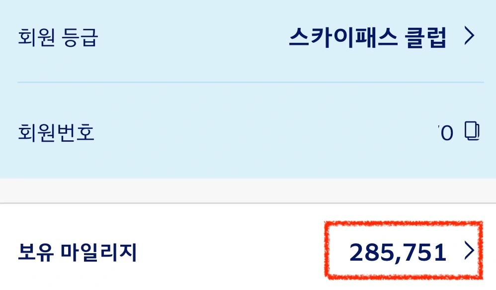 스카이패스 앱 화면, 보유 마일리지 285,751마일